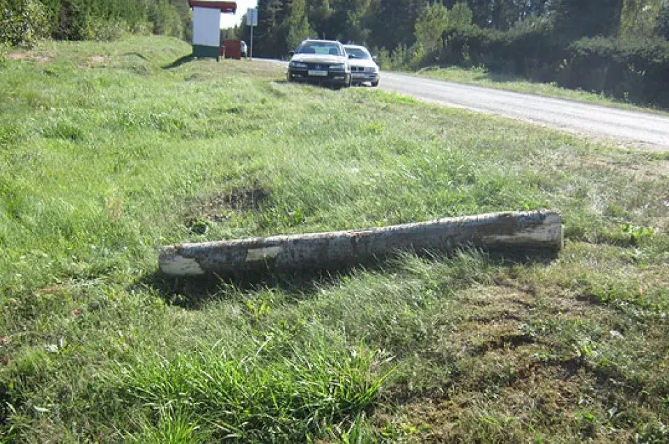 З грузавіка на пешахода звалілася бервяно (фота)
