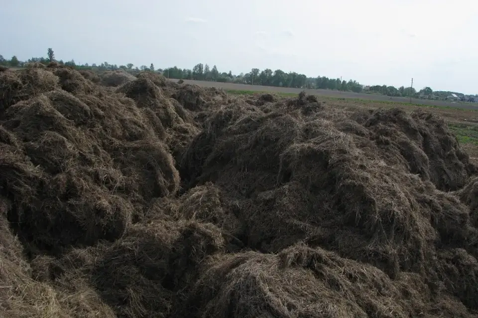 Былога дырэктара Слуцкага льнозавода чакае суд (фота)