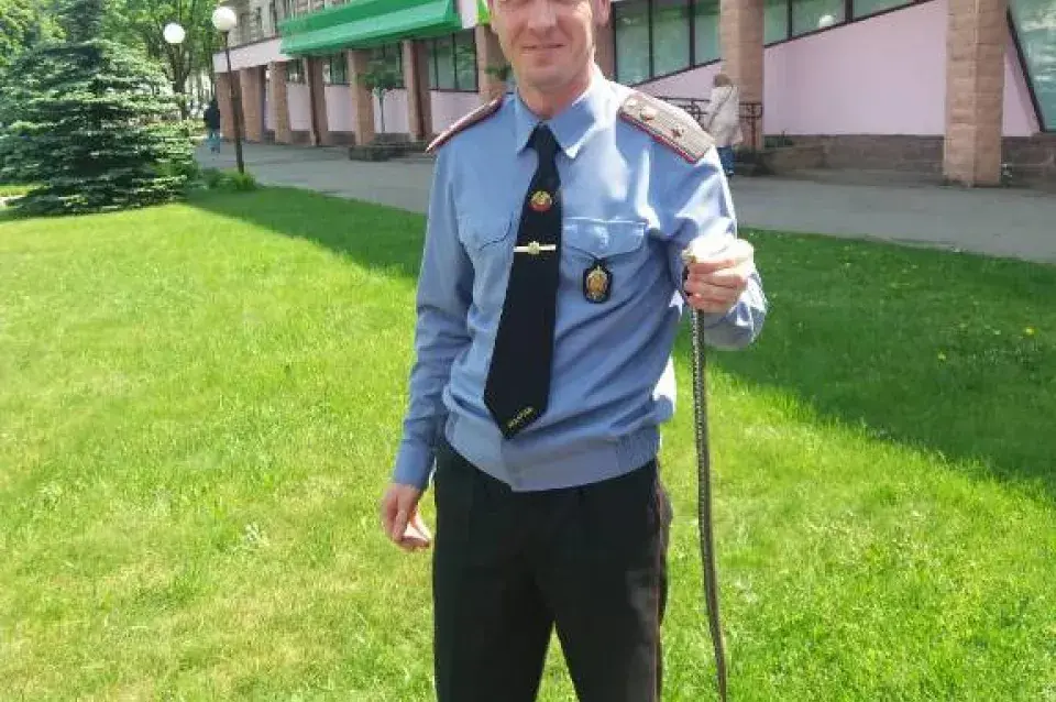 У Жодзіне змяя напалохала жанчыну з дзецьмі (фота)