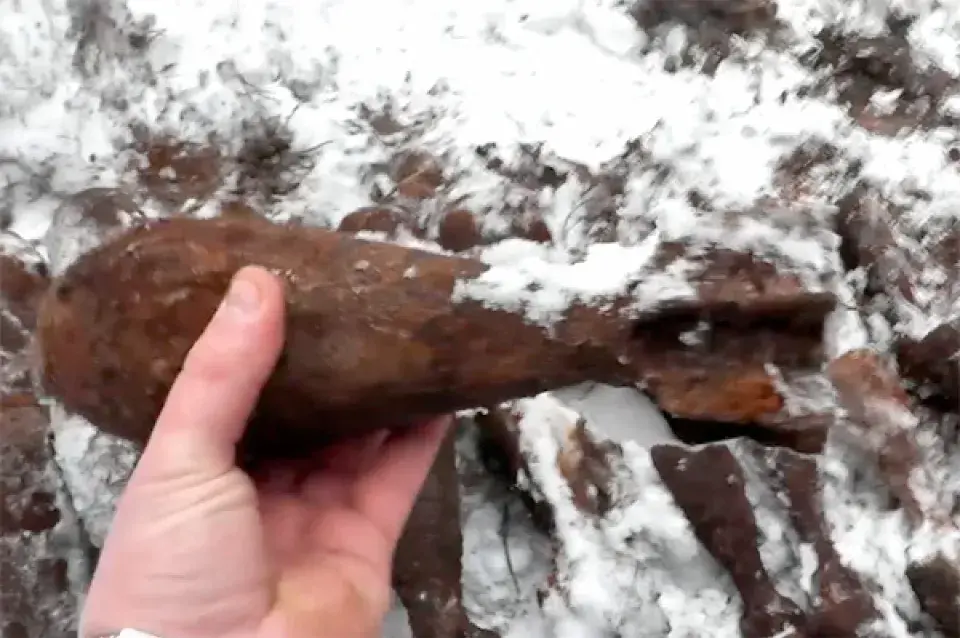 У лесе пад Брэстам знайшлі міны і гранаты (фота, відэа)