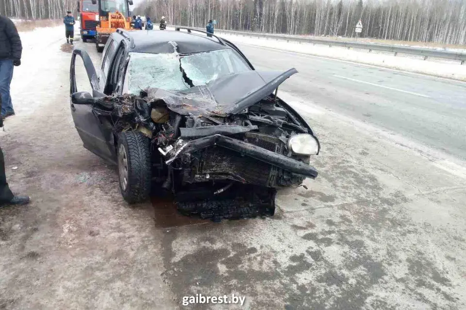 У ДТЗ на трасе М-1 у Івацэвіцкім раёне сур'ёзна пацярпелі жанчына і дзіця