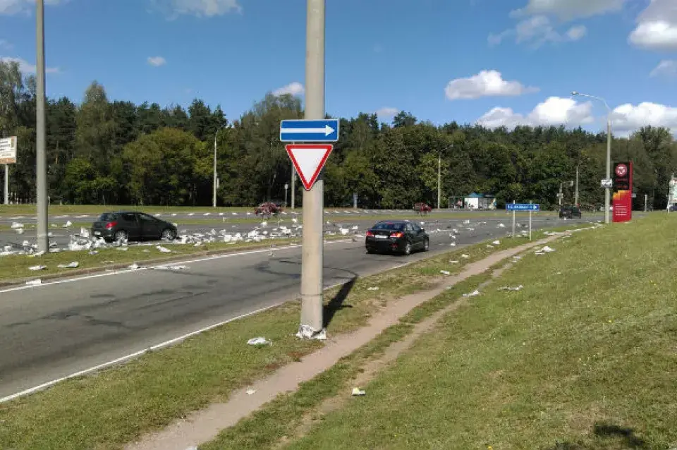 На выездзе з Мінска на дарозе валяліся тысячы "Советской Белоруссии" (фота)