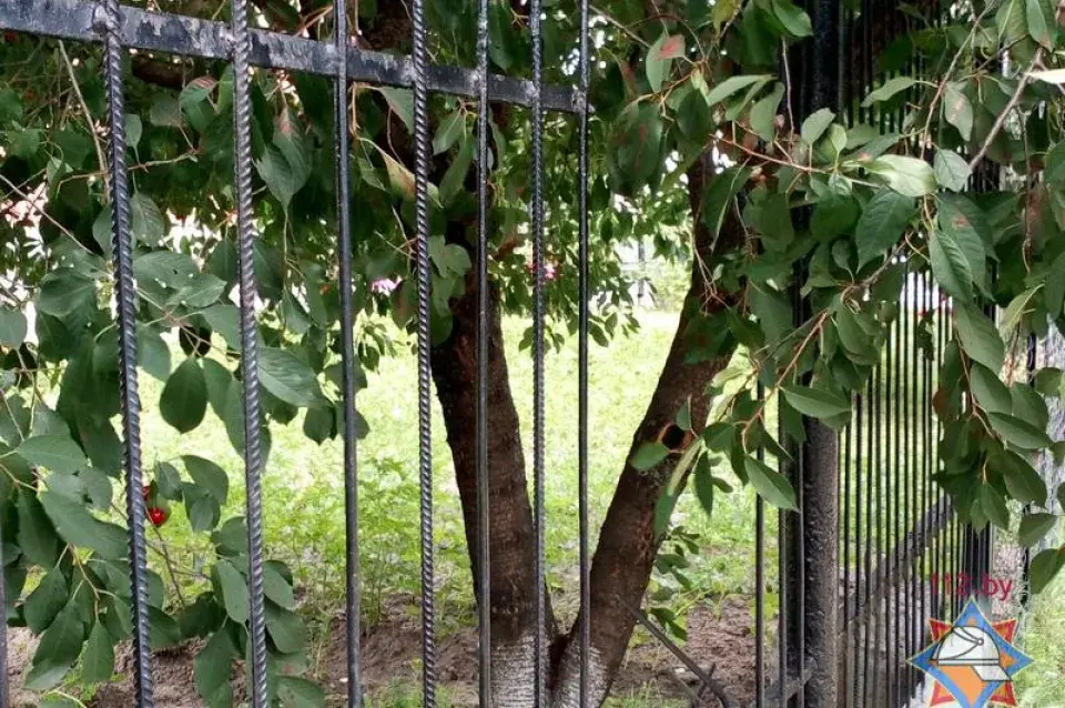 Фотафакт: у Брэсце ратавалі мужчыну, які ўпаў на металічны плот