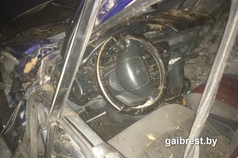 П’яны кіроўца пакінуў у разбітай машыне сваю загінулую дачку і ўцёк