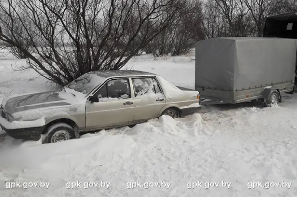 Кантрабандысты перапраўлялі праз беларускую мяжу плыт з 35 тушамі цяляціны