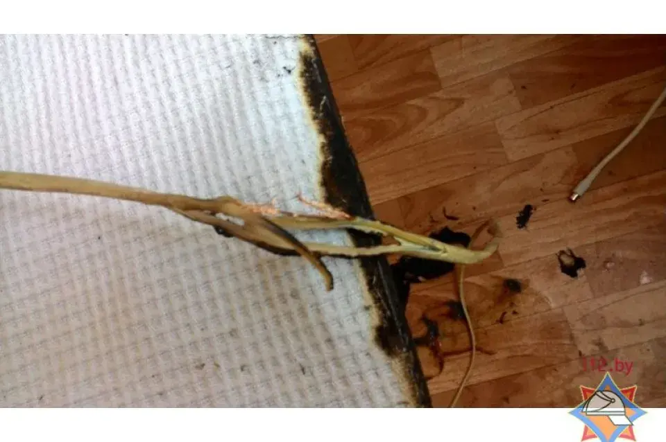 У Мінску 9-гадовы хлопчык патушыў пажар да прыезду ратавальнікаў (фота)