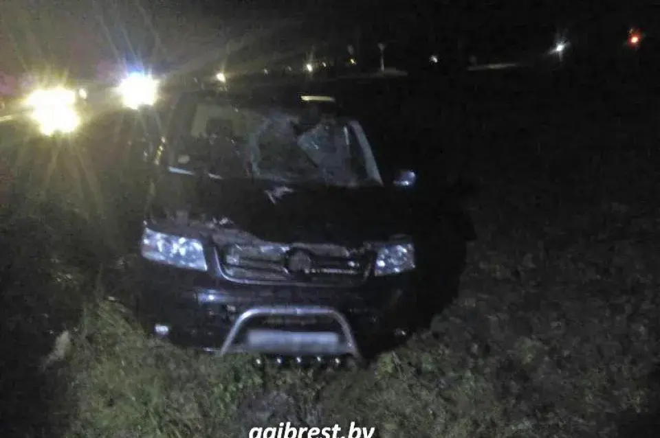 У Столінскім раёне пад коламі аўтамабіля загінуў раварыст