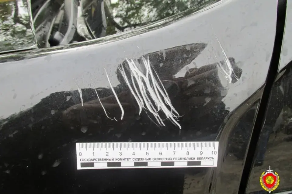 У Валожыне шукаюць каня, які пакусаў… аўтамабіль (фота)