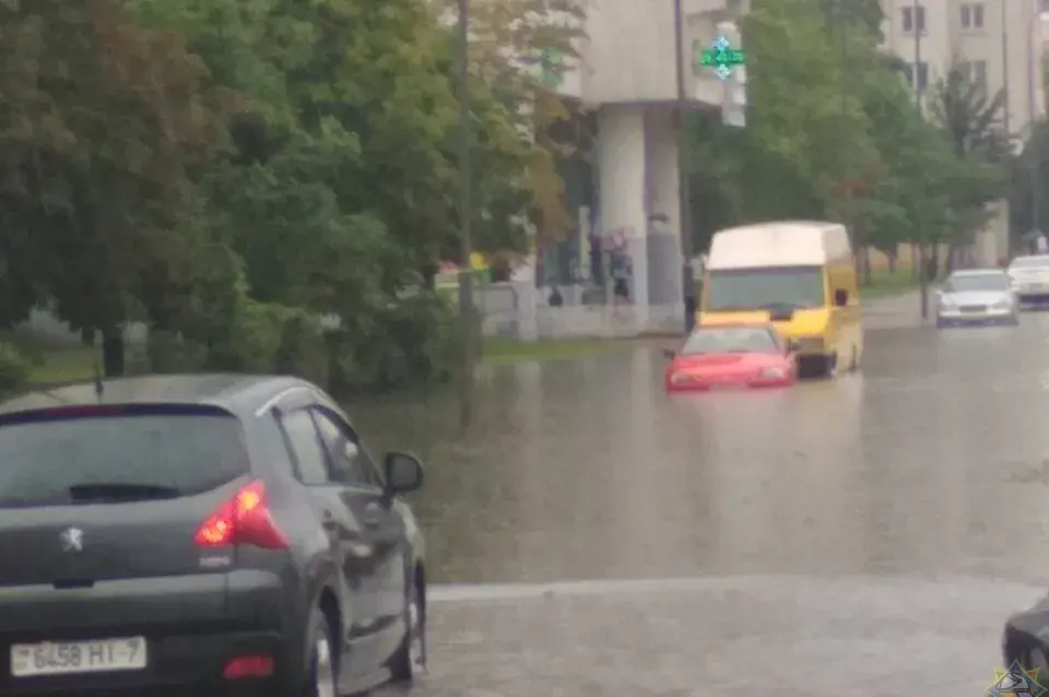 У Віцебску вецер паваліў 21 дрэва, пашкоджаныя 4 машыны