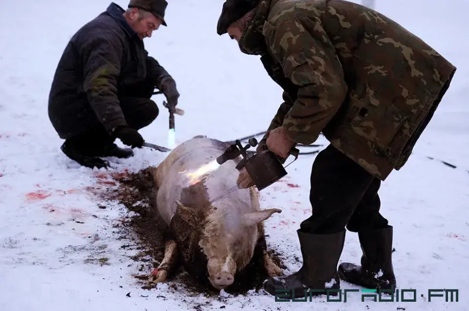 Смаленне вепрука: як беларусы рыхтуюць калядны стол (фота)