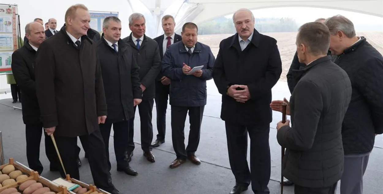 Лукашенко в Толочинском районе&nbsp;/ БЕЛТА