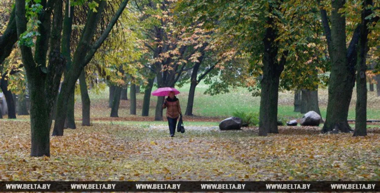 У аўторак амаль па ўсёй Беларусі дажджы і моцны вецер