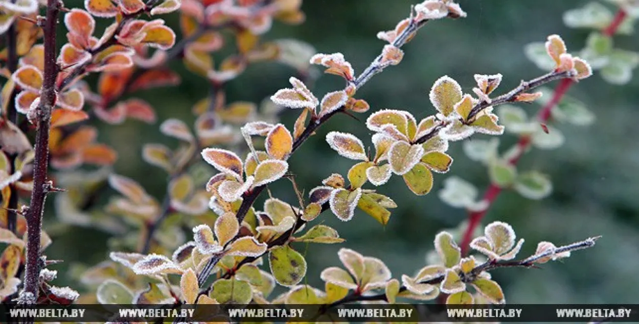 У пятніцу ў Беларусі чакаюцца замаразкі да мінус 6 градусаў