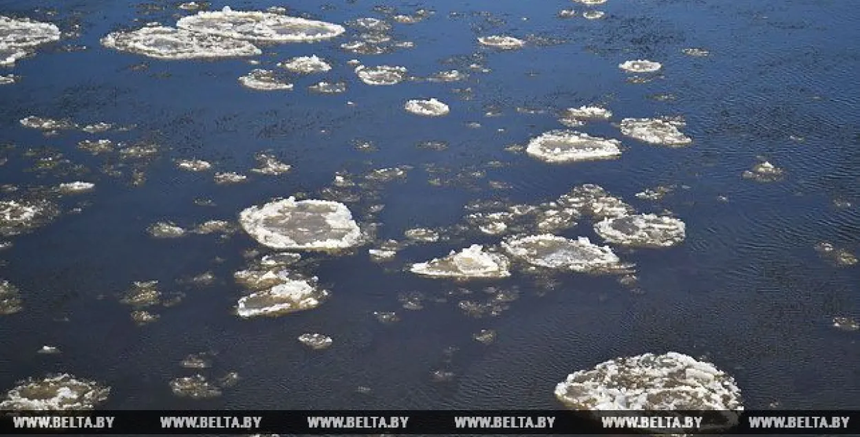 Фото: БЕЛТА