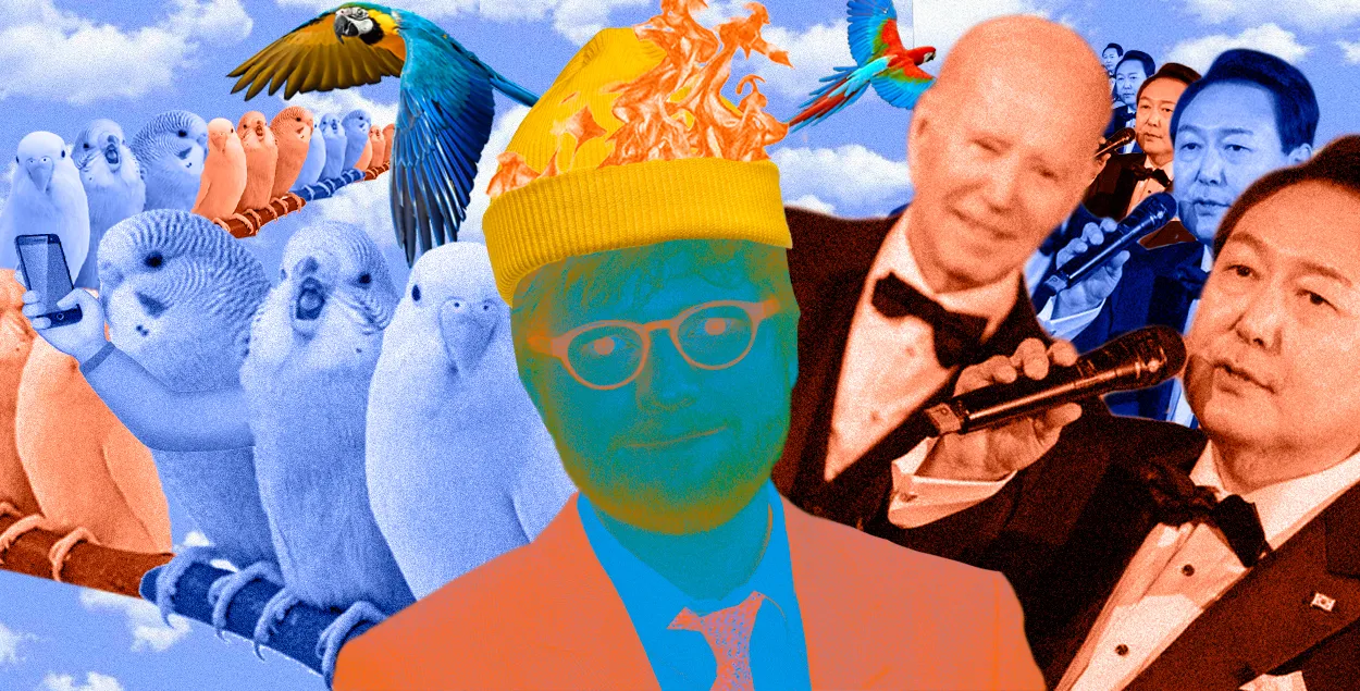 А попугаев научили звонить по видеосвязи! / коллаж Влада Рубанова, Еврорадио
