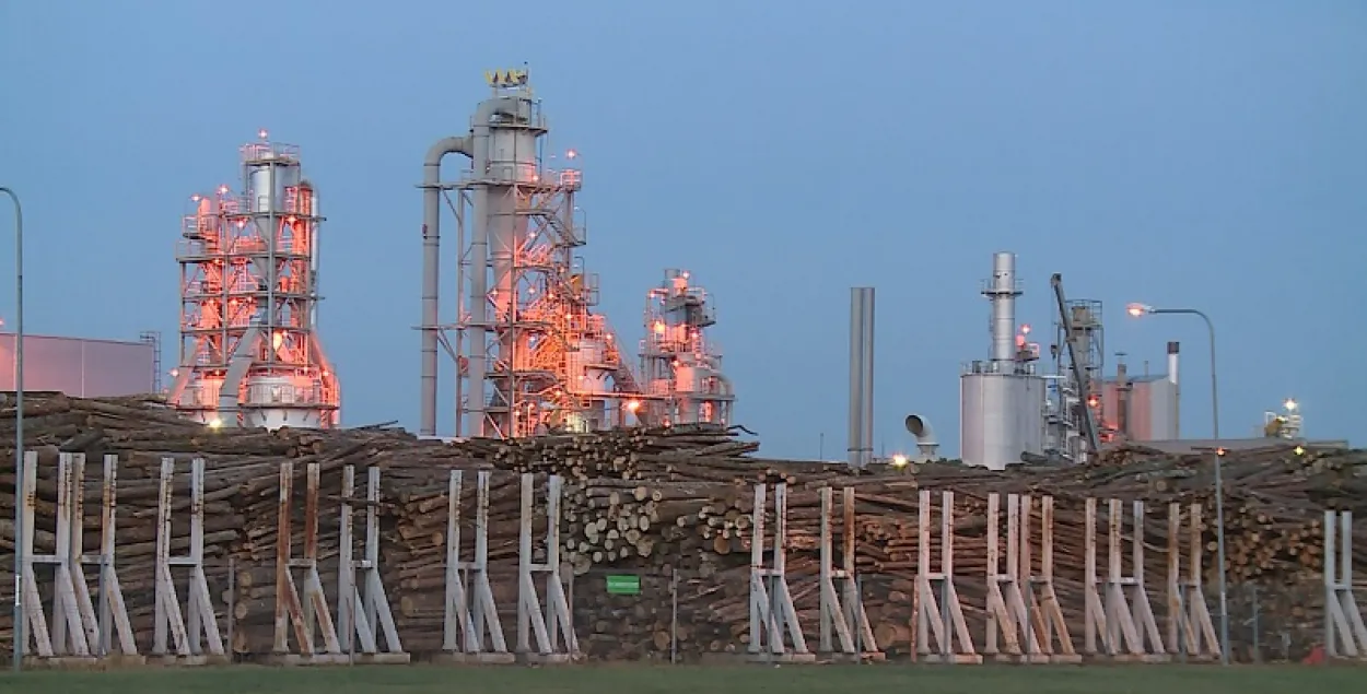 IKEA продолжит закупать лес в Беларуси, несмотря на нарушения прав человека