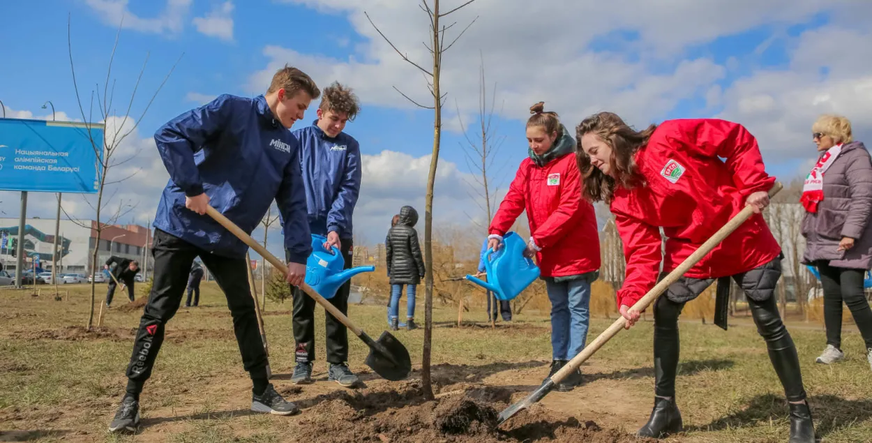 Пасадка дрэў у Ленінскім раёне Мінска / Ілюстратыўнае фота "Мінск-Навіны"