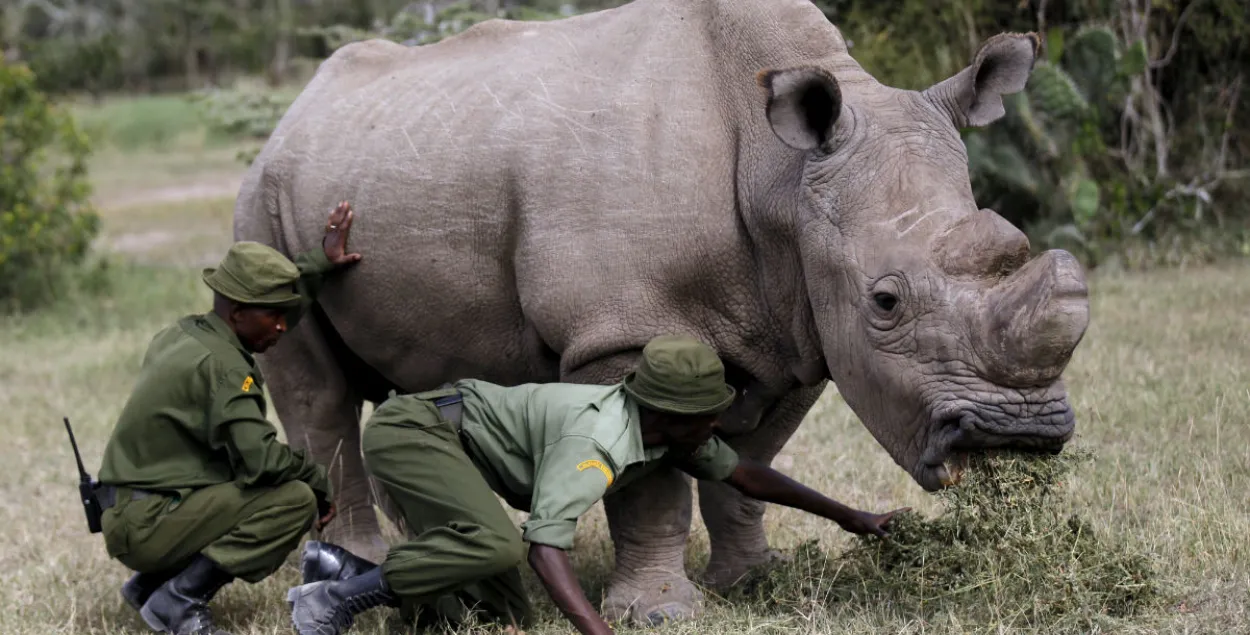 Фото: Reuters
