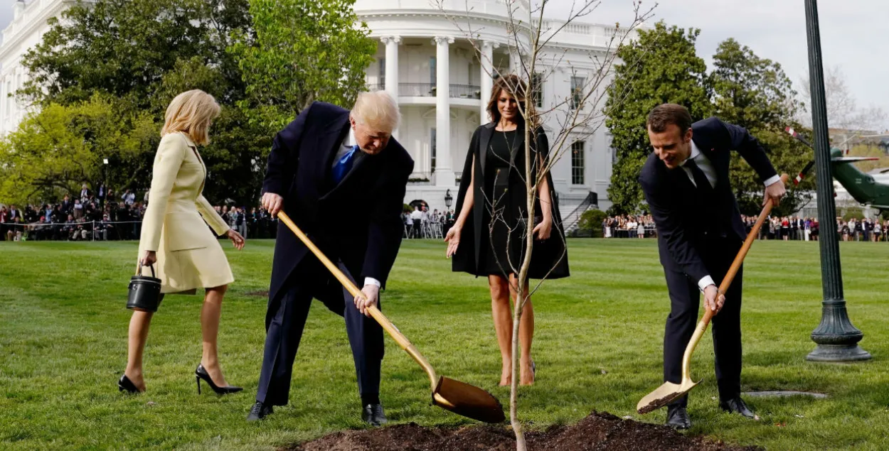 Сацсеткі жартуюць над фота Трампа, Макрона і іх жонак, якія пасадзілі дрэва