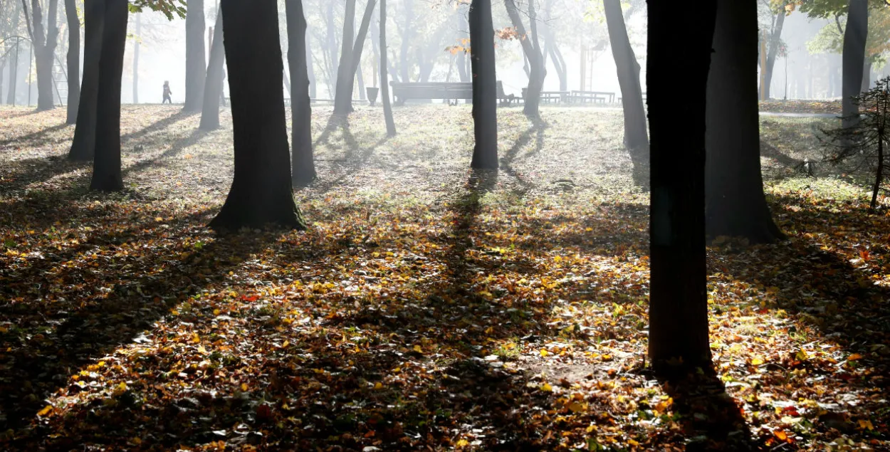 Фото: Reuters