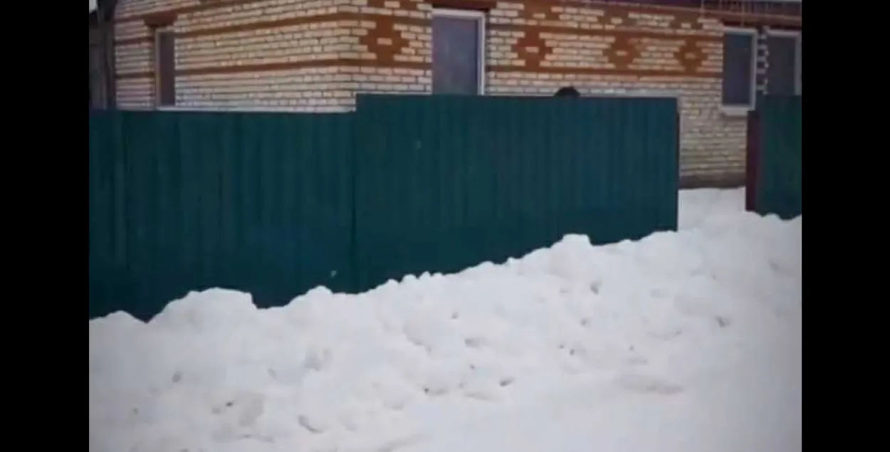 Дом, где жили Валентина В. и Мария К. Скриншот из видео Следственного комитета