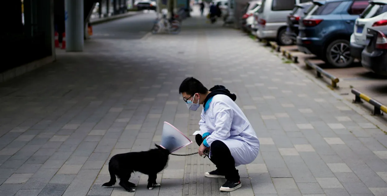 Навукоўцы: да 70% ужо інфікаваных COVID-19 не маюць ніякіх сімптомаў