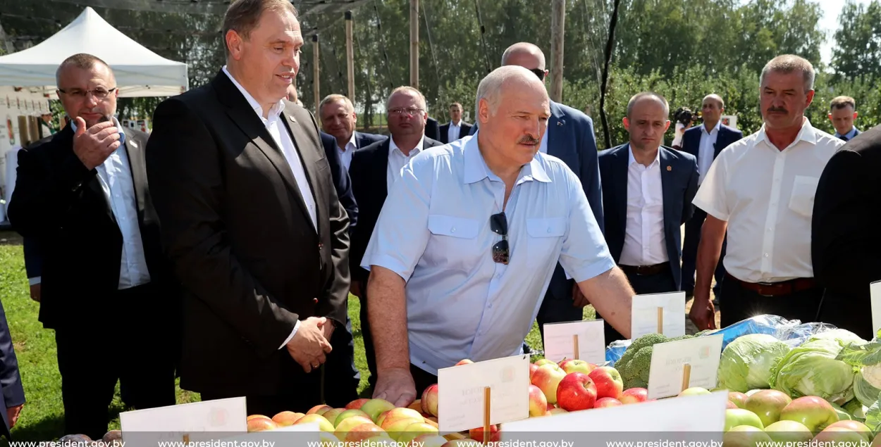 Александр Лукашенко и белорусские яблоки / president.gov.by