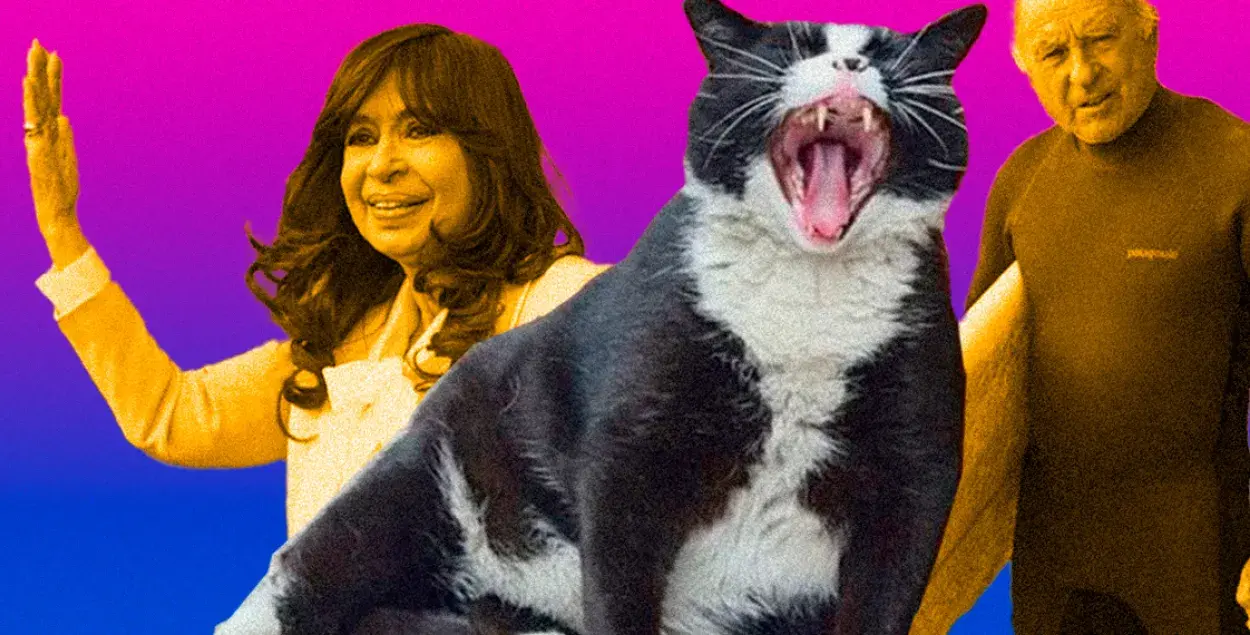 Их нравы: миллиардер отказывается от денег, а кот Гацек продолжает толстеть