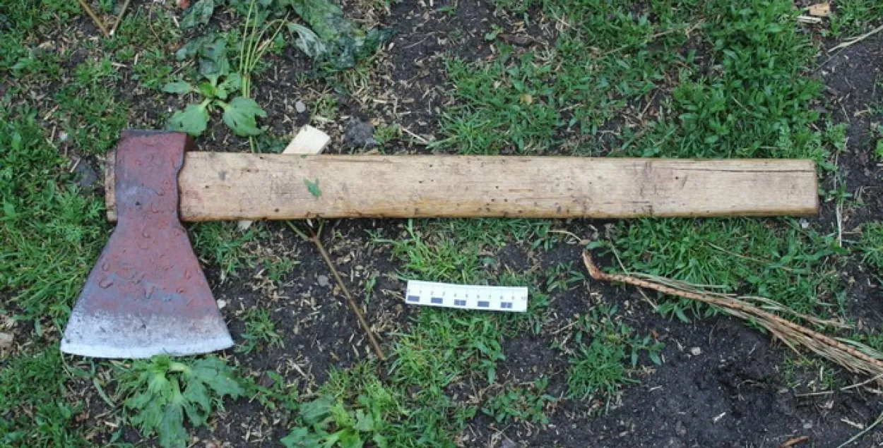 У Смаргонскім раёне 9-гадовы хлопчык траўмаваў сякерай палец 6-гадовай сястры