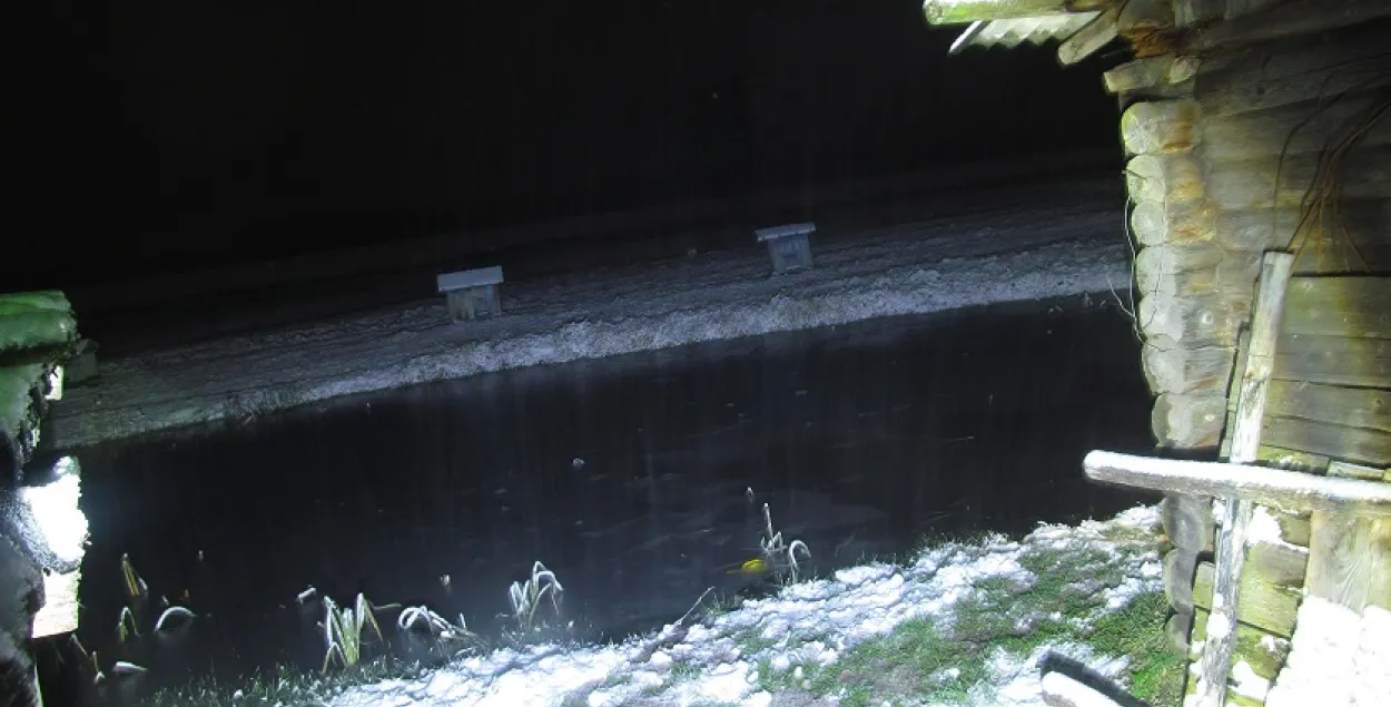 Чарговая гібель дзіцяці ў сажалцы на падворку дома