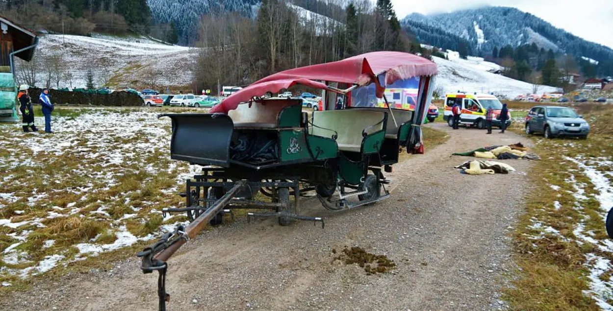 У Германіі сутыкнуліся два конныя экіпажы, пацярпелі 20 чалавек (фотафакт)