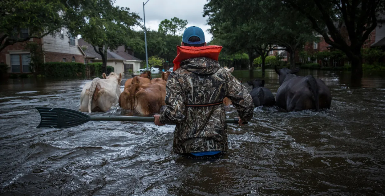 Фото: The New York Times