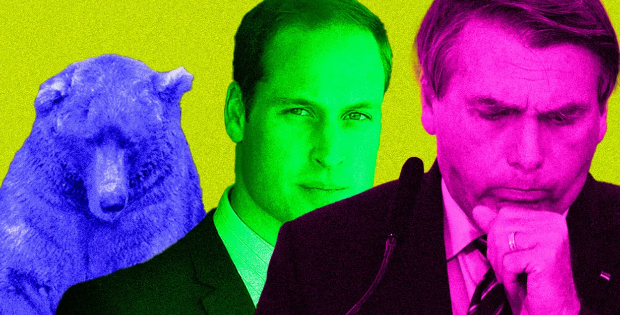 Советы принца Уильяма, ковид-диссидент Болсанару и мудрый толстый медведь