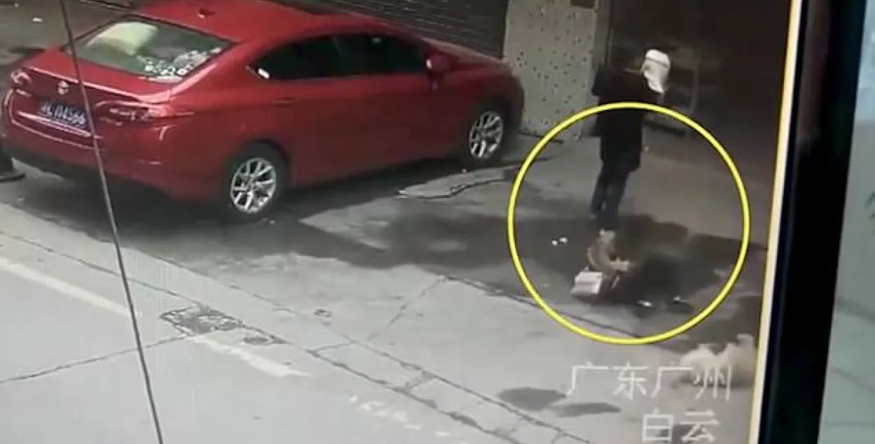 На жанчыну з “неба” ўпаў сабака, яна страціла прытомнасць (відэа)