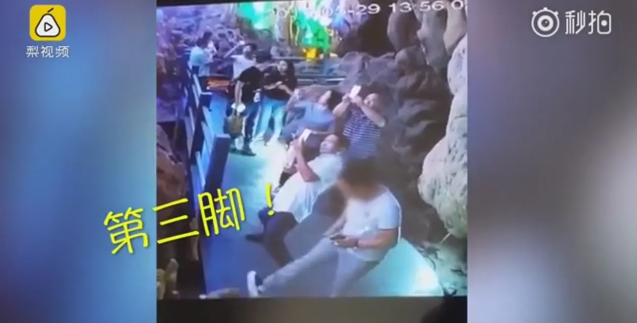 Фото: скриншот с видео