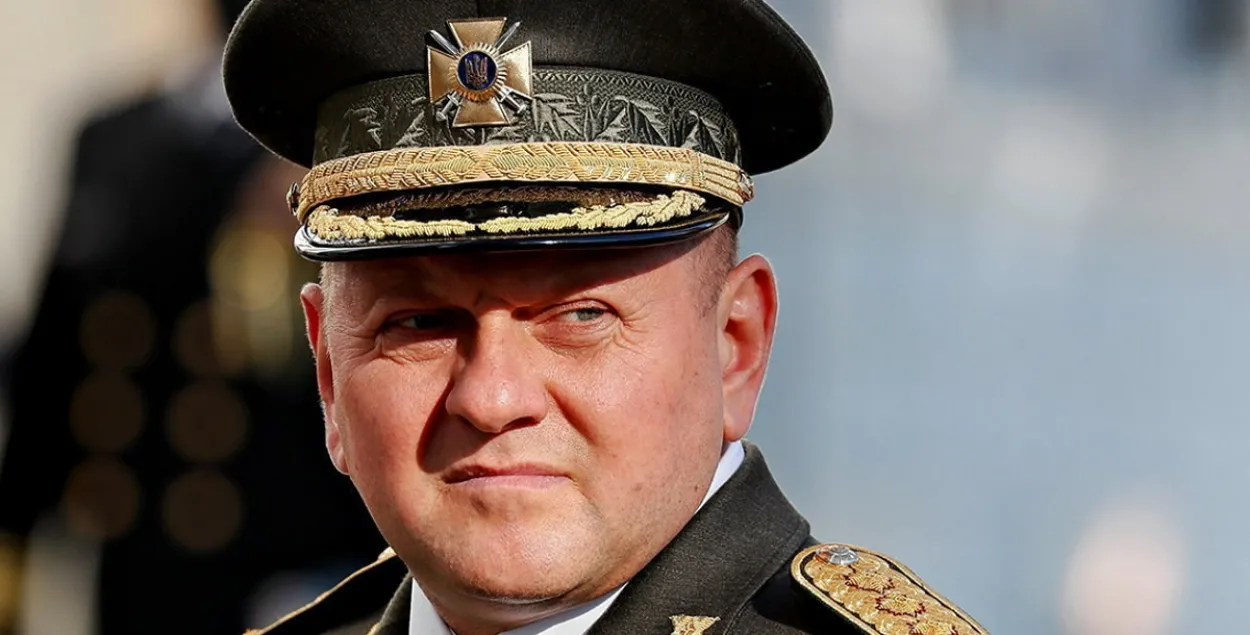 Валерый Залужны / Reuters
