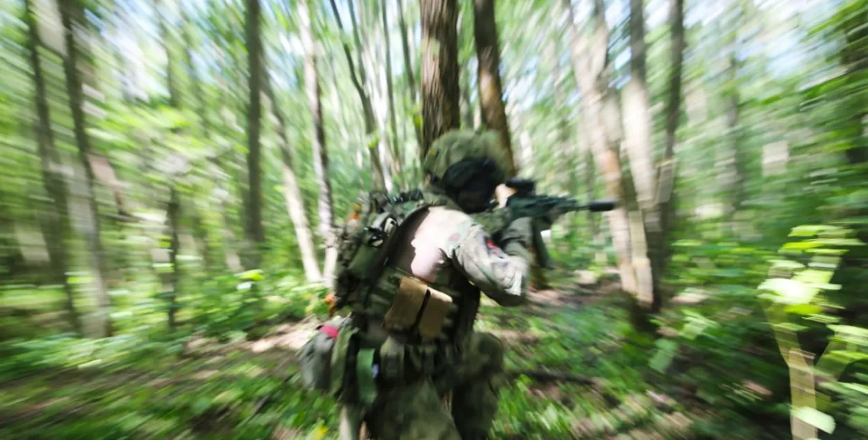 Дэсантнік на занятках у лесе / t.me/modmilby/