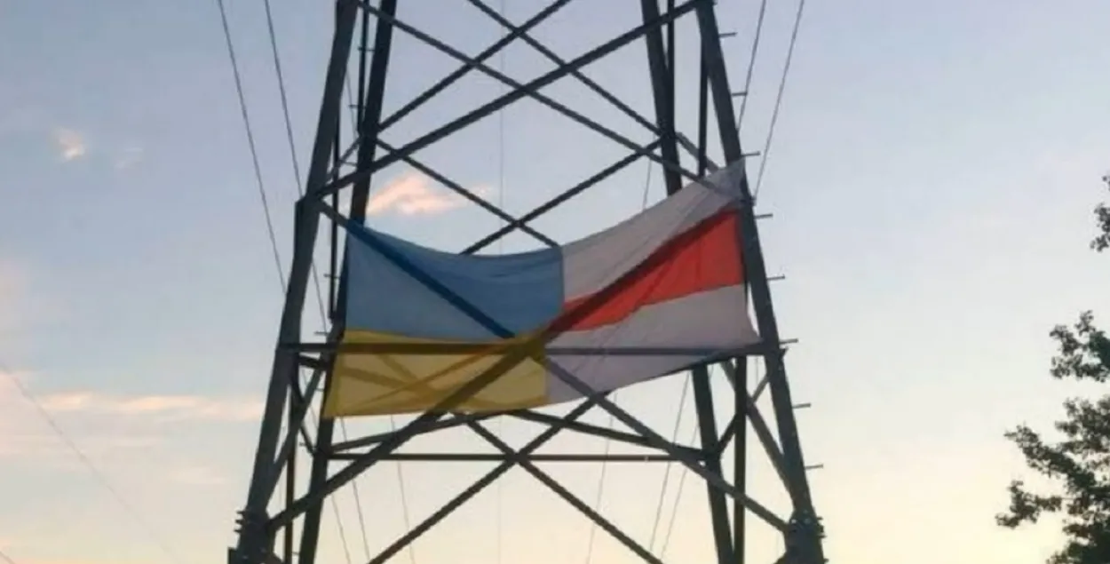 Сцяг на апоры лініі электраперадач / Скрыншот з відэа МУС