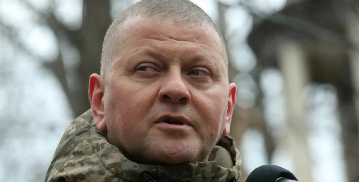 Валерый Залужны / УНІАН
