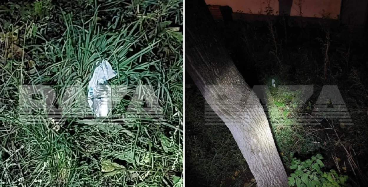 На месте происшествия / t.me/bazabazon
