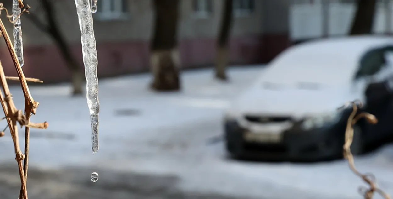 Зімой у Беларусі / БЕЛТА