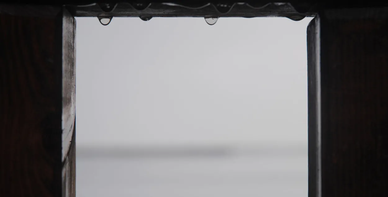 Фото: pixabay.com