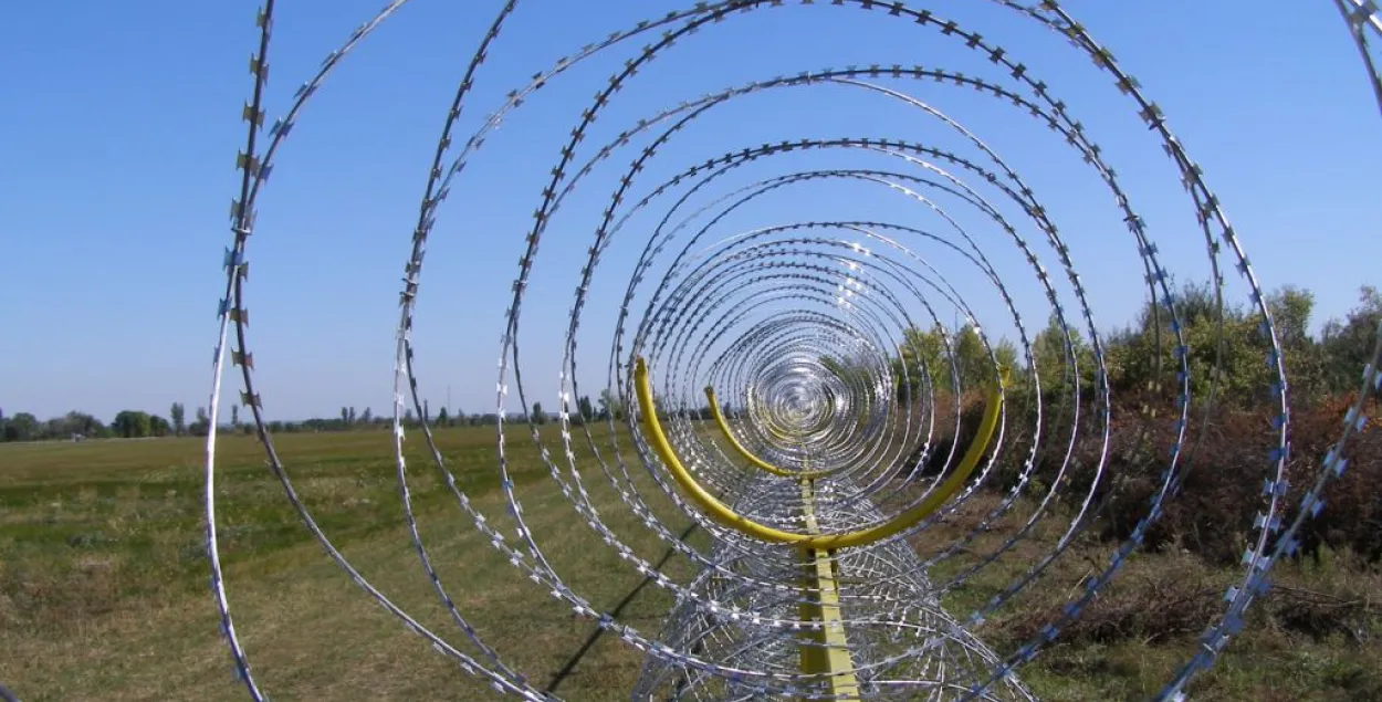 Калючы дрот называецца "канцэрціна", яго краі вострыя як брытва