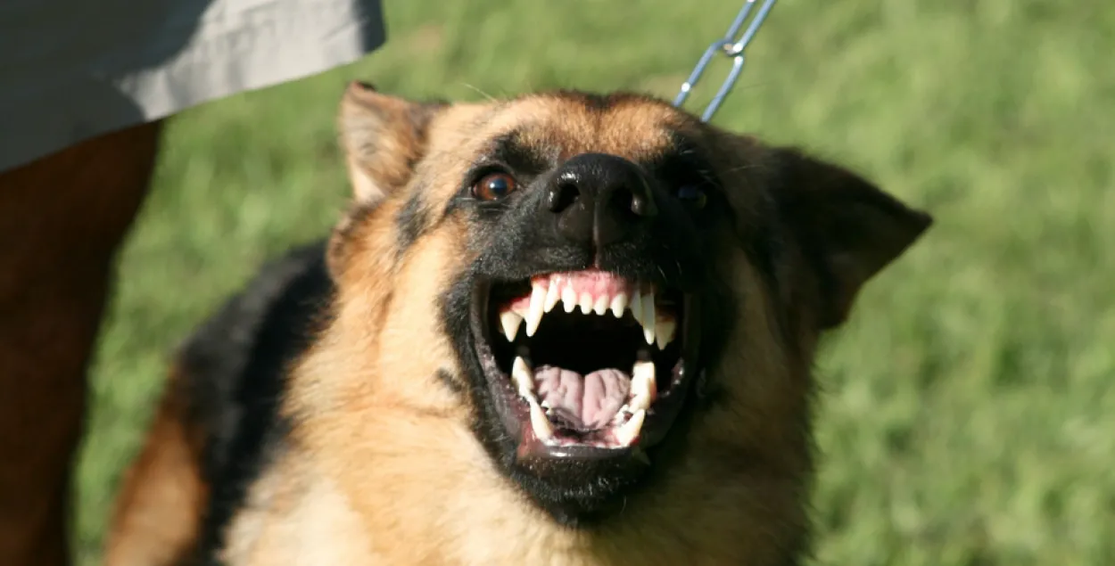 Снимок из архива.