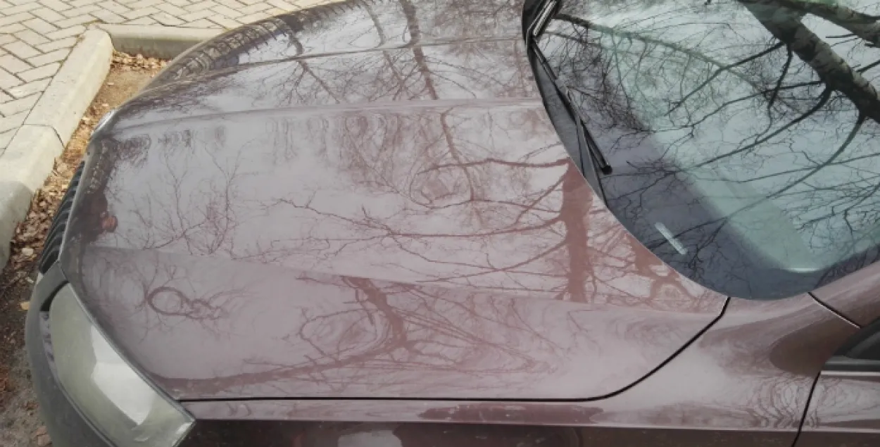 Два п'яныя школьнікі ў Мінску хадзілі па аўтамабілях дзеля фота