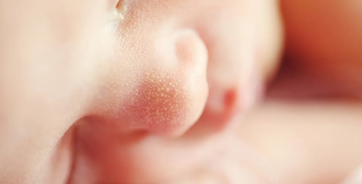 Фото: pixabay.com