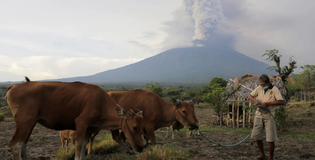 Фото: Reuters