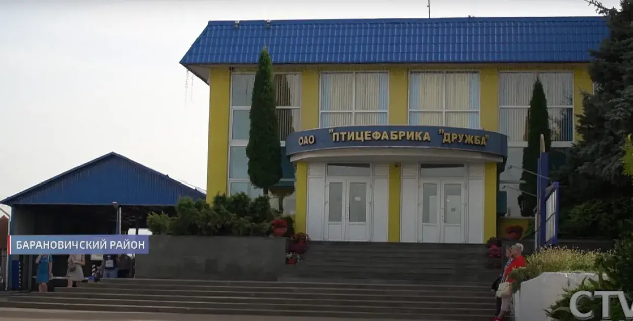 Птицефабрика "Дружба" / СТВ