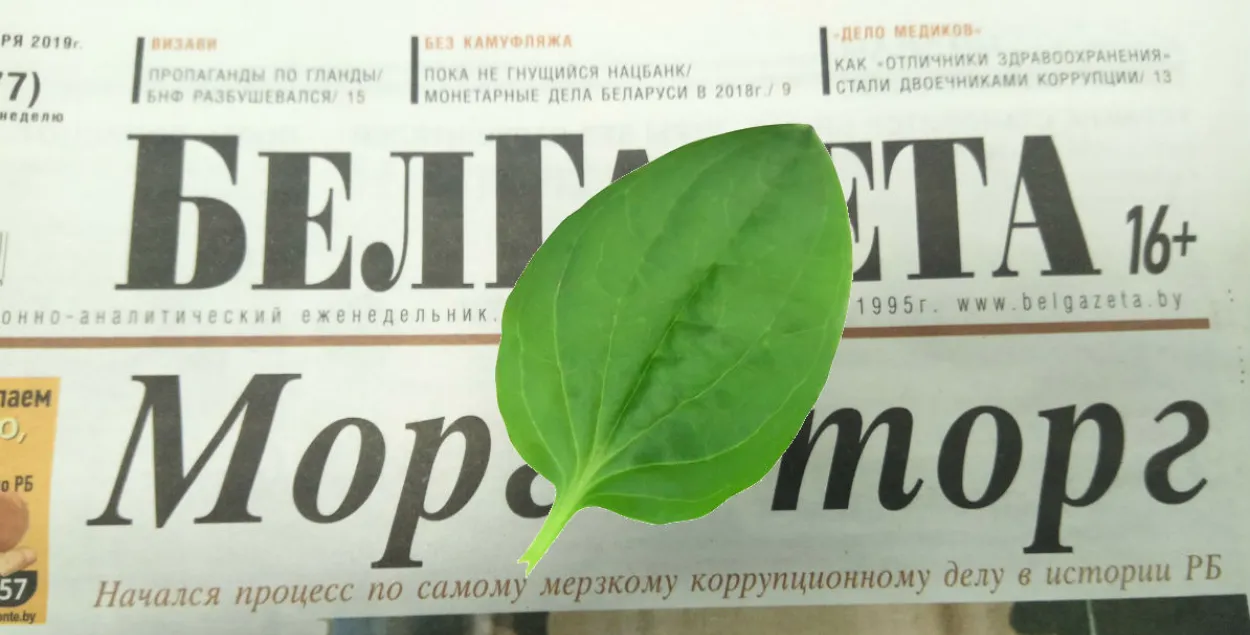 Euroradio