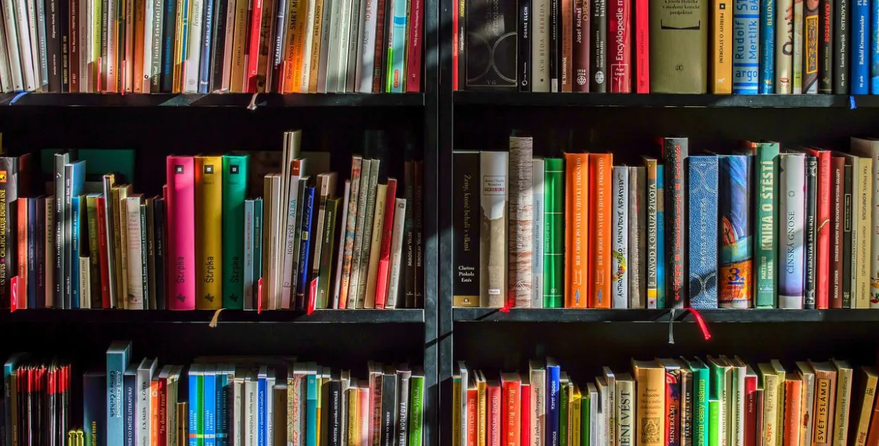 "Зачыстка" школьных бібліятэк: прыбіраюць кнігі Арлова, Алексіевіч, Някляева